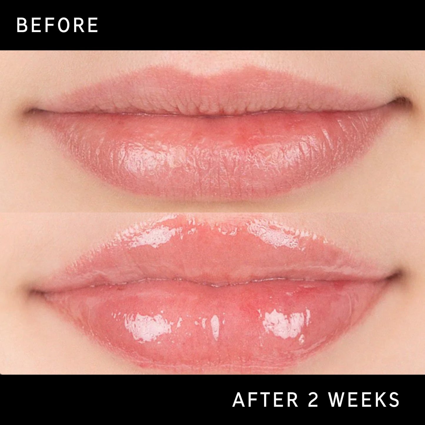 tripeptide-plumping-lip-balm-f5 DTC-Top15_Amends_Tripeptide-Lip_B_A.jpg